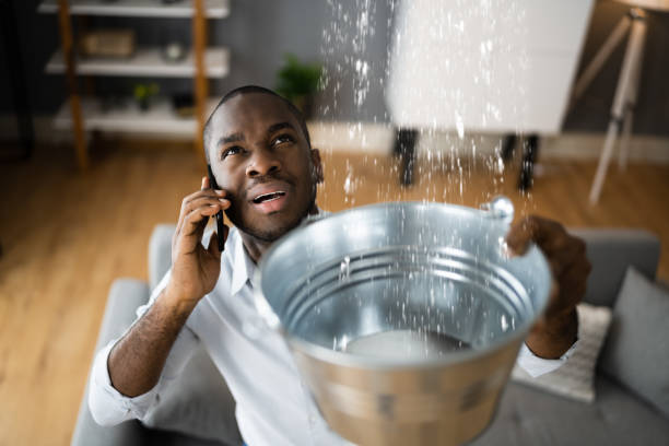 Best Local water damage restoration  in Granite City, IL