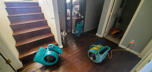 Best Ceiling water damage repair  in Granite City, IL