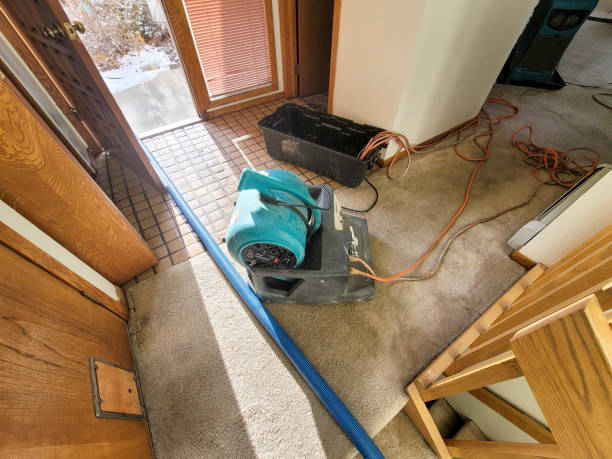 Best Basement water damage restoration  in Granite City, IL