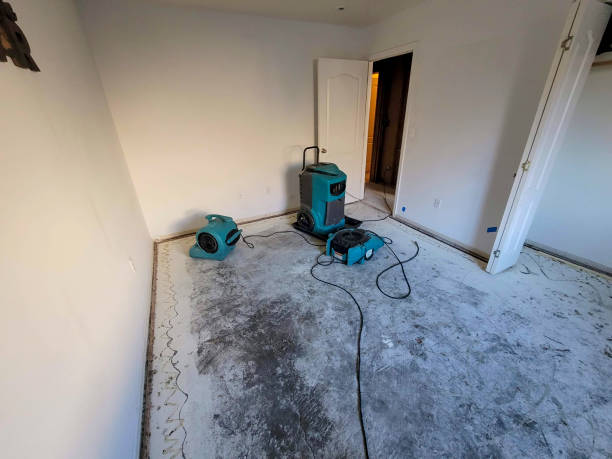 Best Fire Damage Restoration  in Granite City, IL
