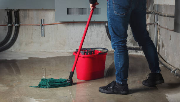  Granite City, IL Water damage restoration Pros