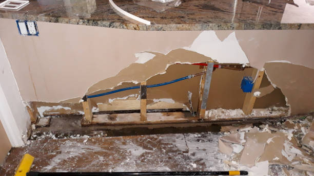 Best Commercial water damage restoration  in Granite City, IL