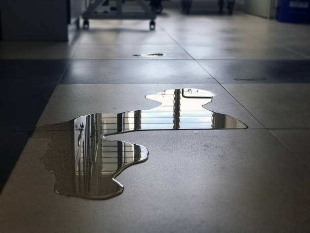 Best Water damage restoration specialists  in Granite City, IL