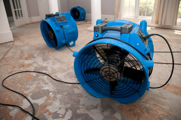 Best Ceiling water damage repair  in Granite City, IL