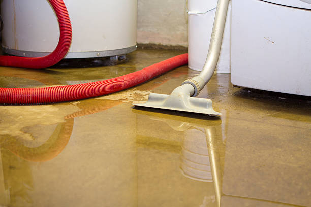 Best Water damage cleanup near me  in Granite City, IL