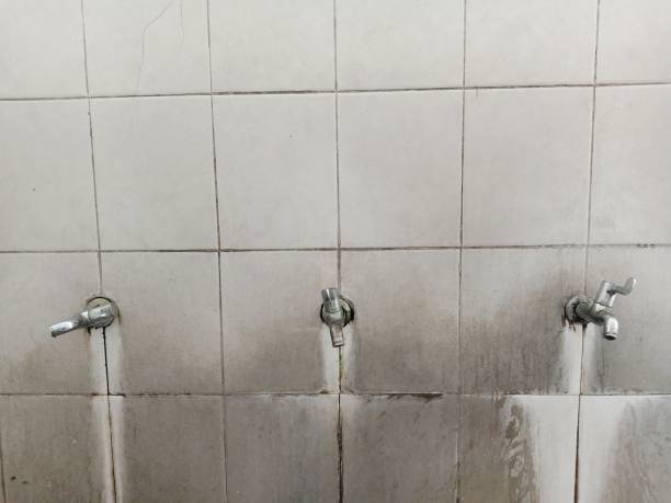 Best Commercial water damage restoration  in Granite City, IL
